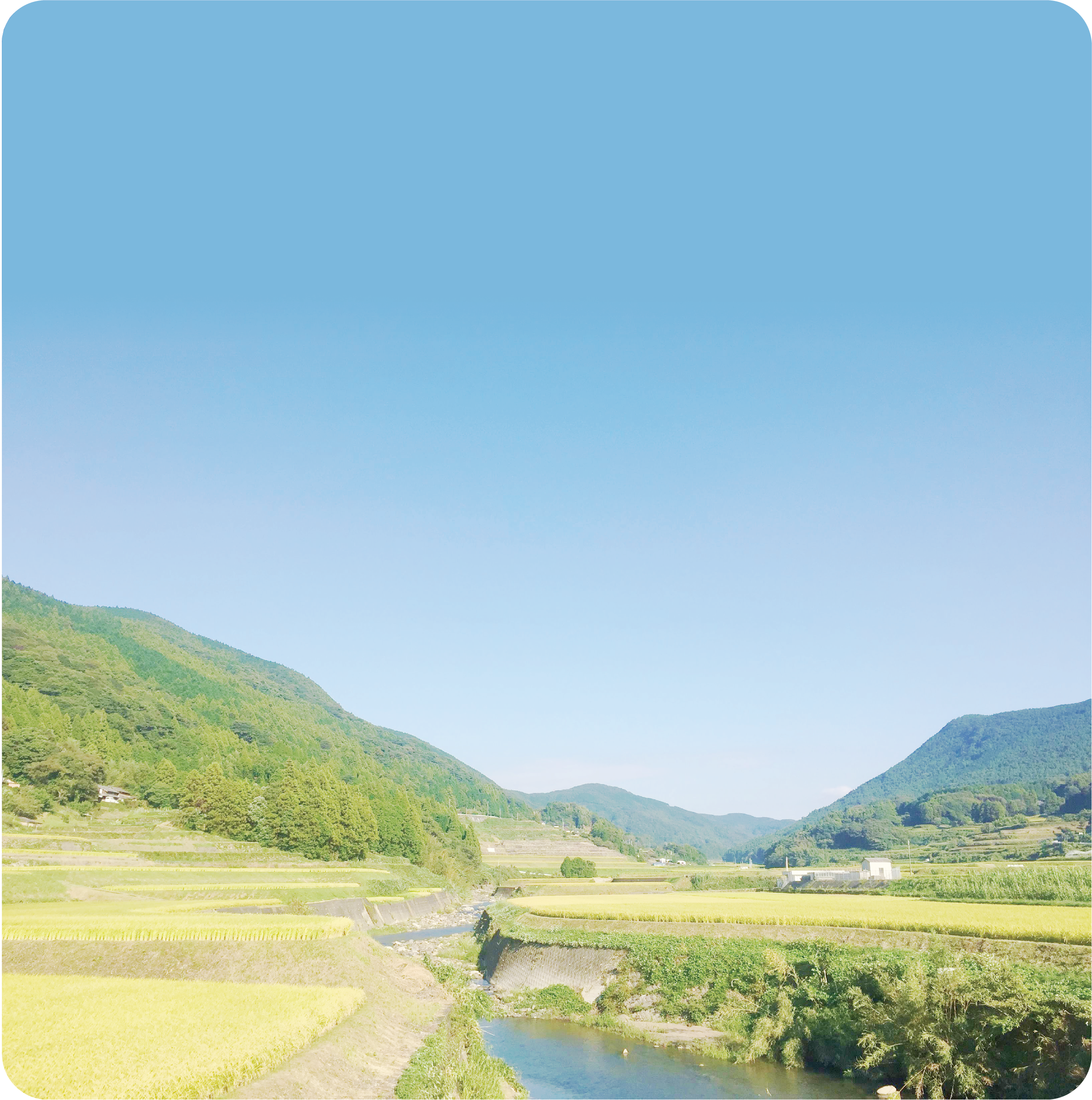 半世紀 工夫を重ねた エサと水