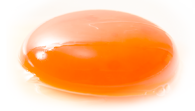美味しい卵の4つのひみつ